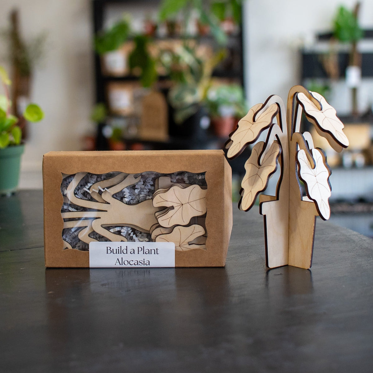 Build-a-Plant Alocasia 3D Wooden Puzzle