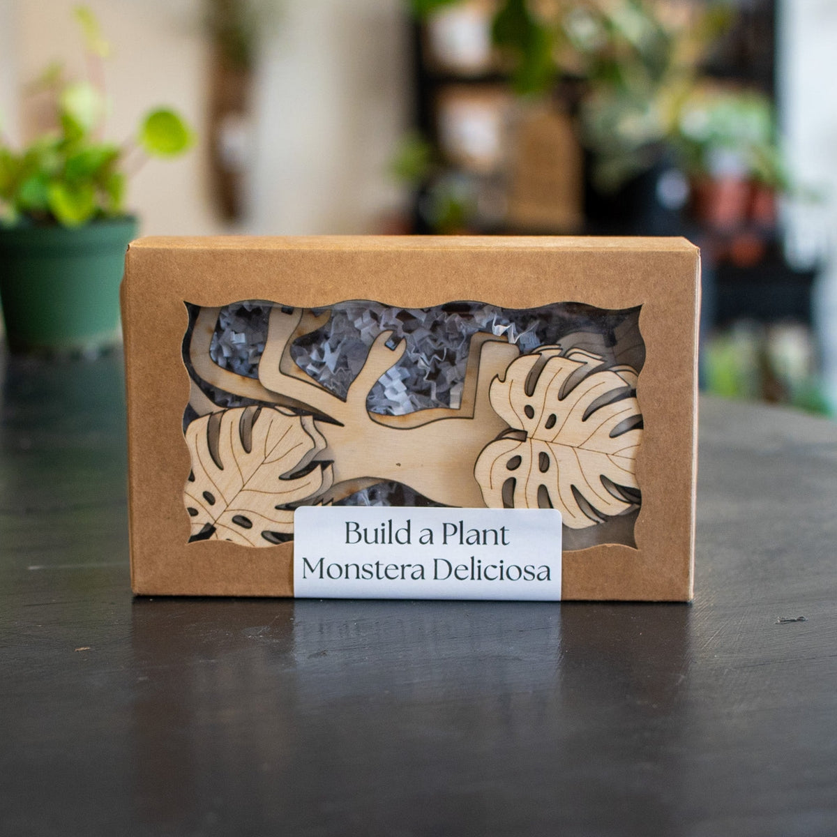 Build-a-Plant Monstera 3D Wooden Puzzle