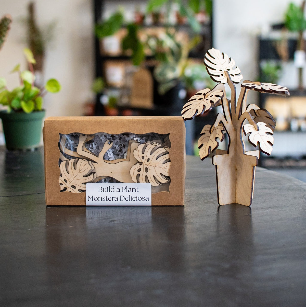 Build-a-Plant Monstera 3D Wooden Puzzle