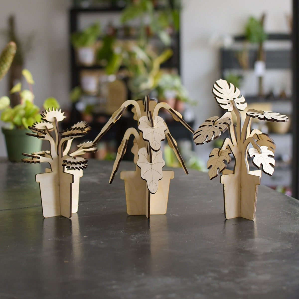 Build-a-Plant Monstera 3D Wooden Puzzle